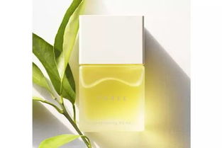 小众极简风高颜值护肤品牌星京极 明星单品缔造肌肤之美